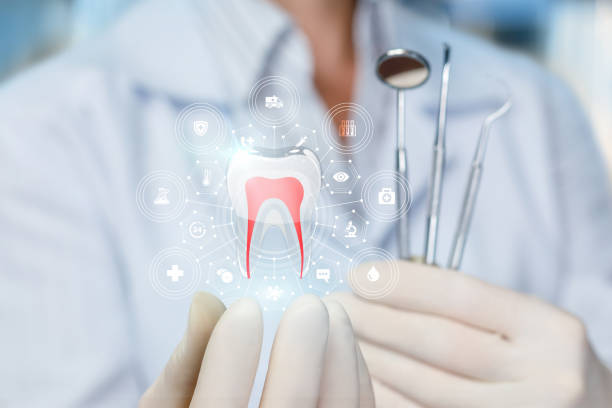 Best Full Mouth Reconstruction  in Lake City, MN